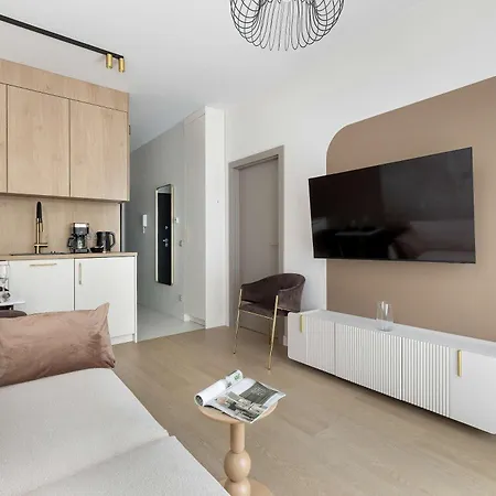 Stylowy Z Klimatyzacja I Balkonem Blisko Starego Miasta By Renters Szczecin